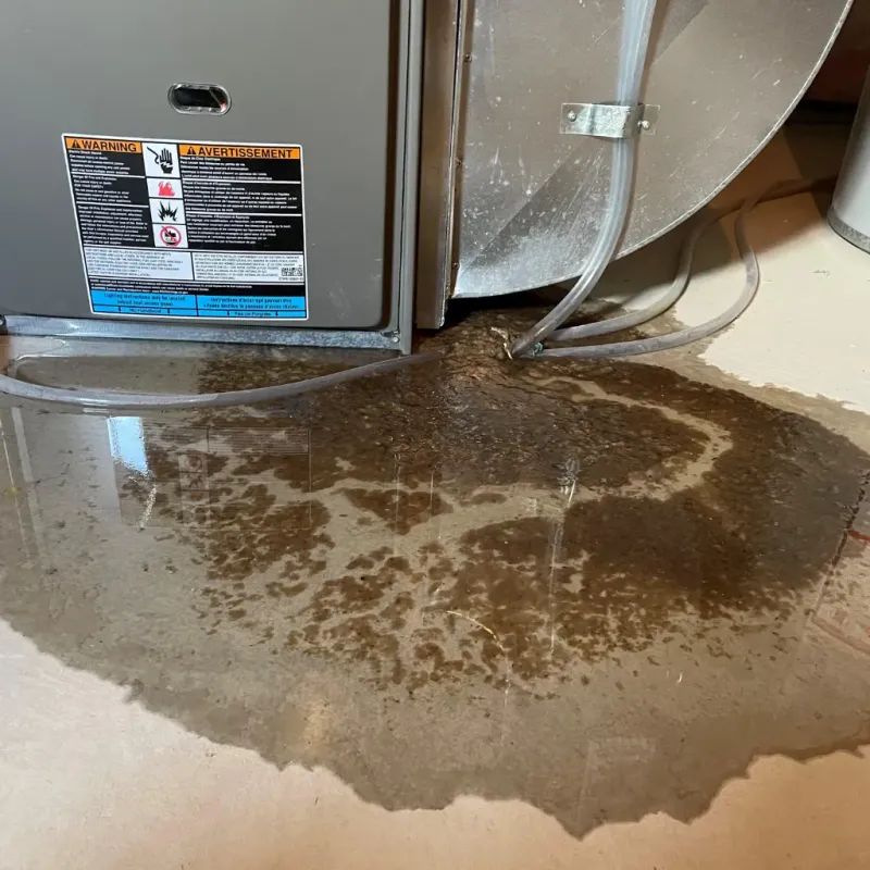 Appliance Leak Cleanup in Eden, NC